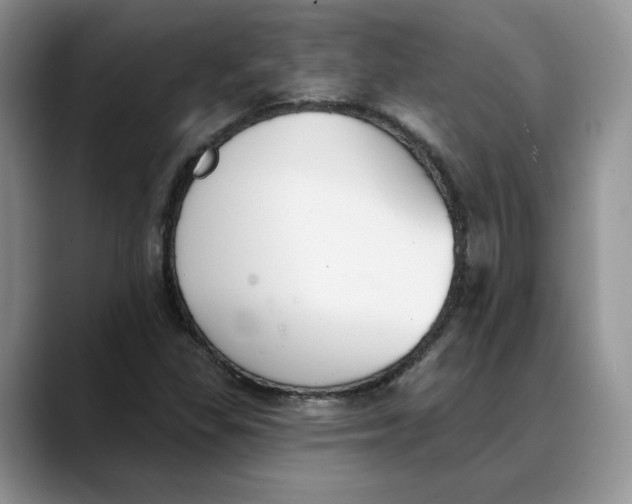 X0000088491309200706121542