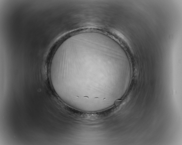 X0000088491310200706121542