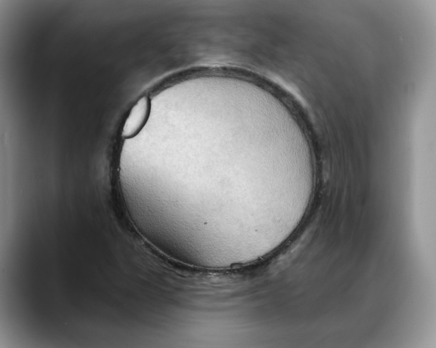 X0000088491311200706121542