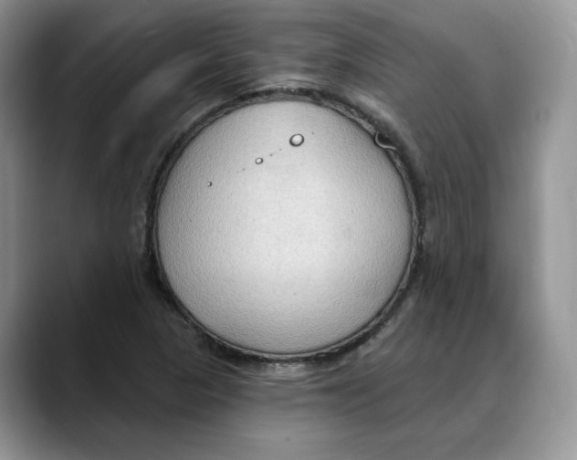 X0000088491313200706121542