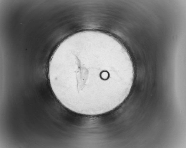 X0000088491314200706121542