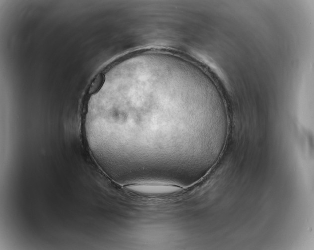 X0000088491316200706121542