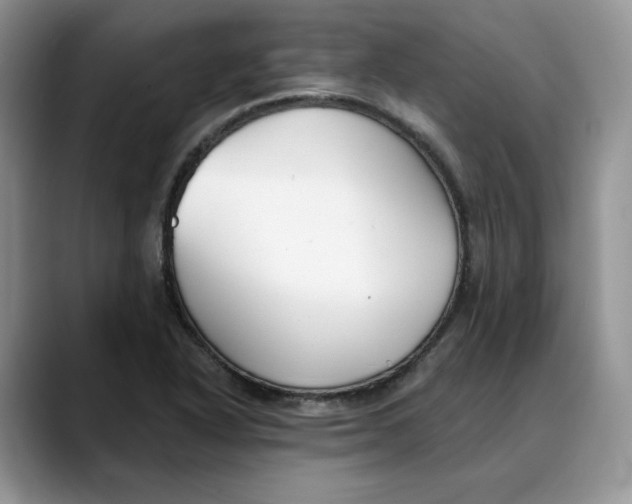 X0000088491318200706121542