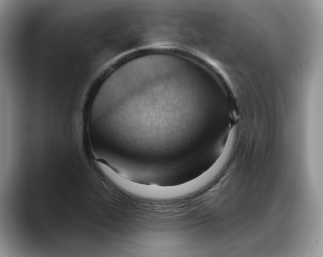 X0000088491319200706121542