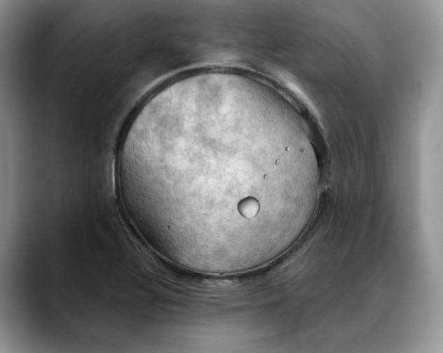 X0000088491320200706121542