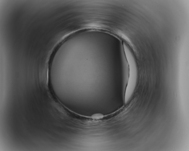 X0000088491323200706121542