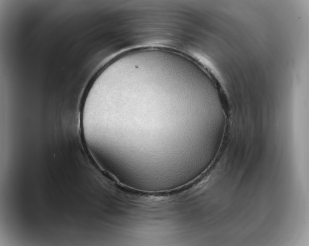 X0000088491324200706121542