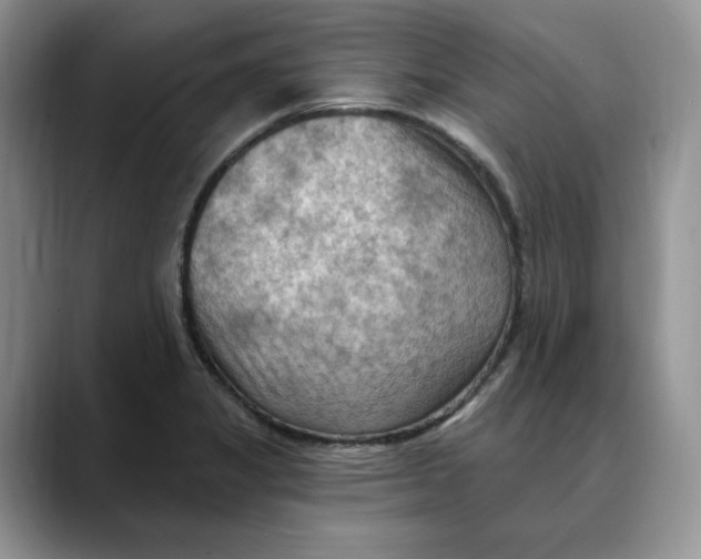 X0000088491325200706121542