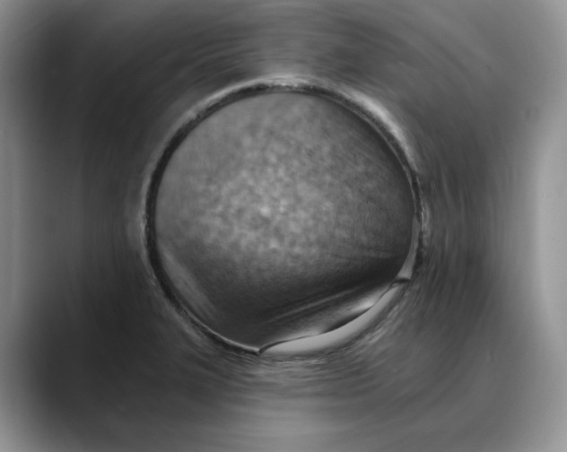 X0000088491327200706121542