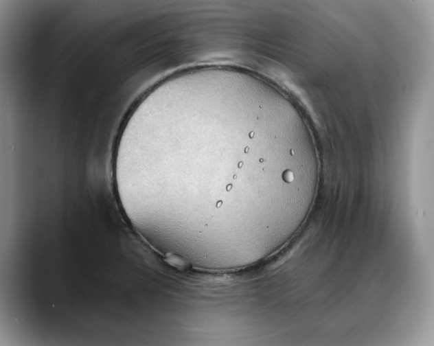 X0000088491328200706121542