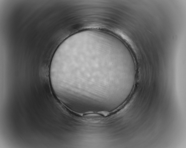 X0000088491329200706121542