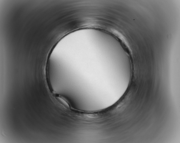 X0000088491330200706121542