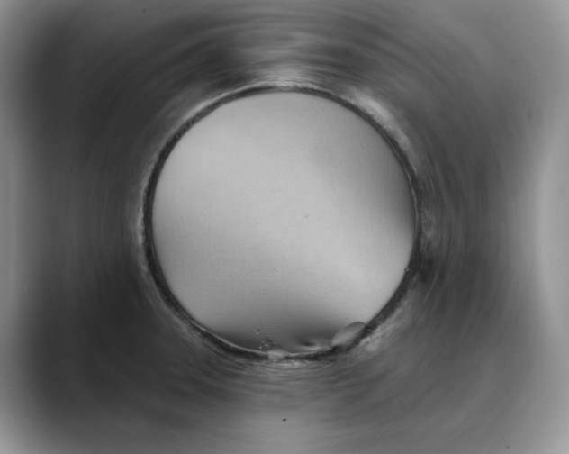 X0000088491331200706121542