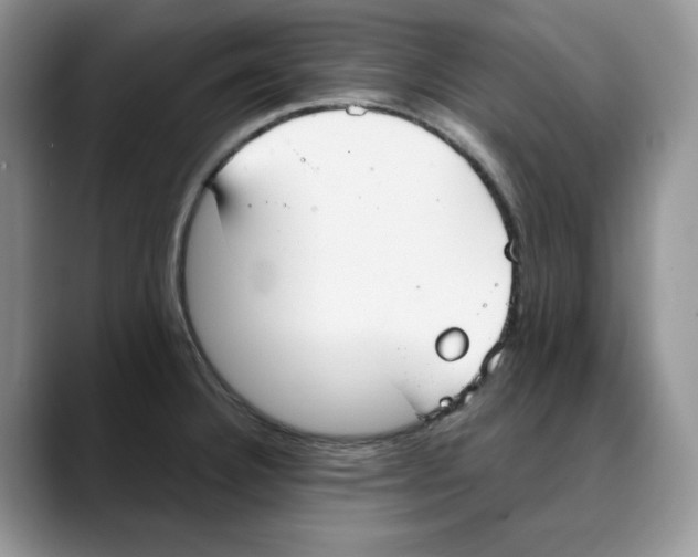 X0000088491332200706121542