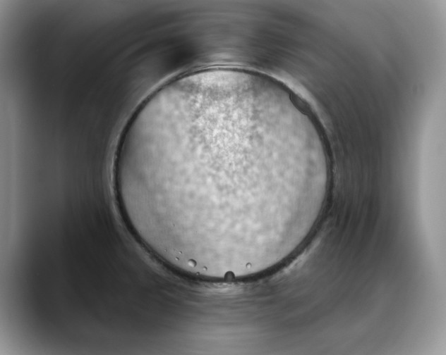 X0000088491333200706121542