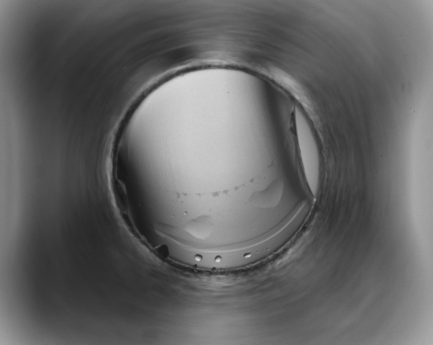 X0000088491334200706121542