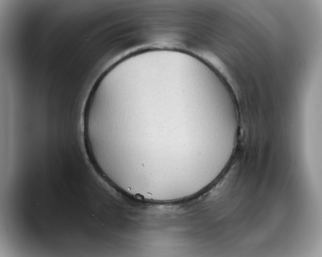 X0000088491335200706121542