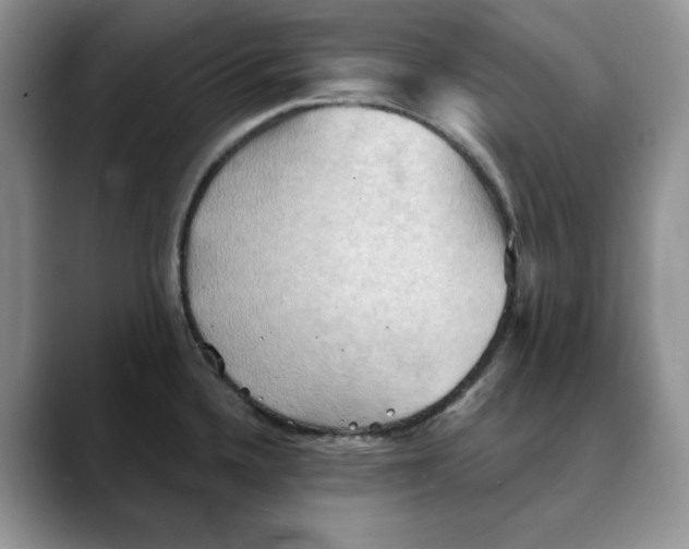 X0000088491336200706121542