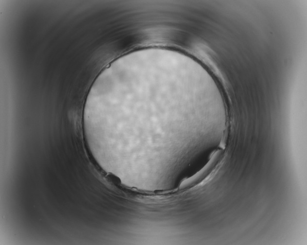 X0000088491337200706121542