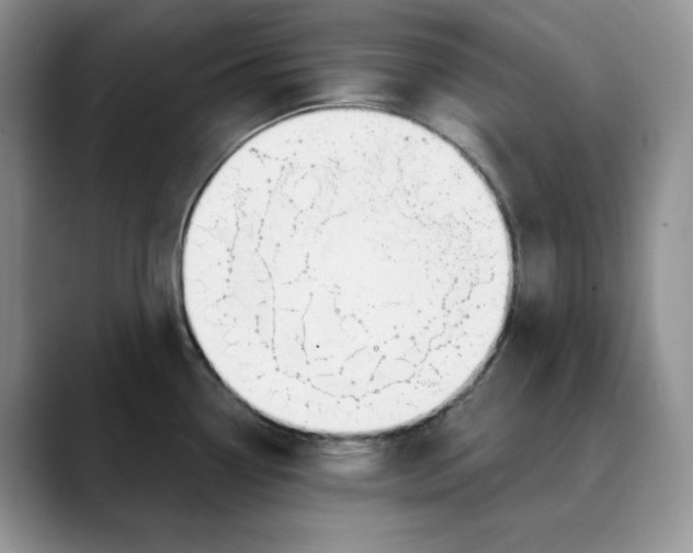 X0000088491338200706121542