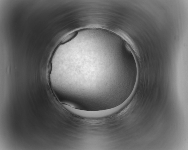 X0000088491340200706121542