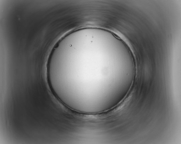 X0000088491341200706121542