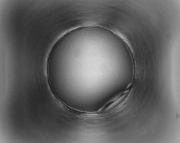 X0000088491342200706121542