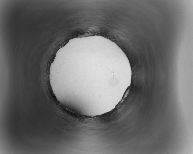 X0000088491345200706121541