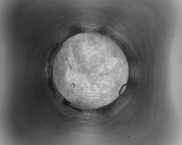 X0000088491346200706121541