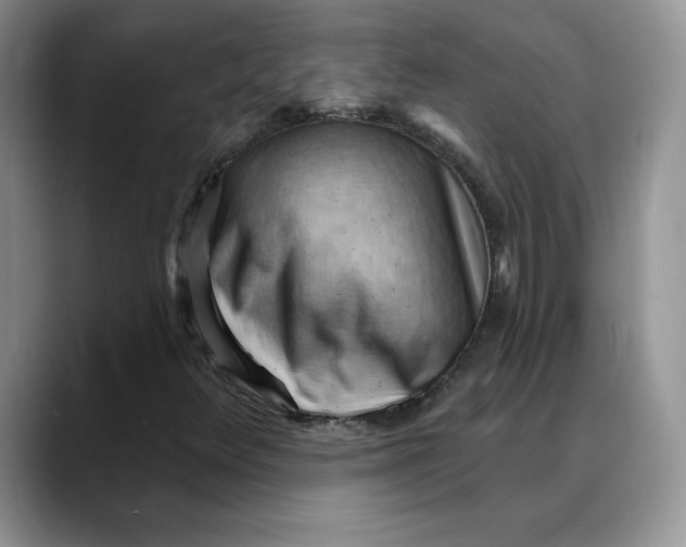 X0000088491348200706121541