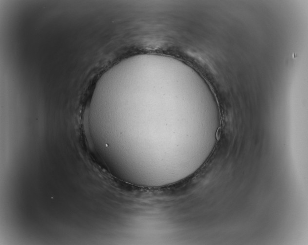 X0000088491349200706121541