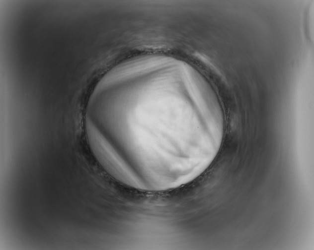 X0000088491350200706121541