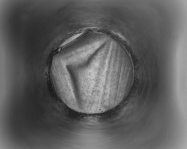 X0000088491351200706121541