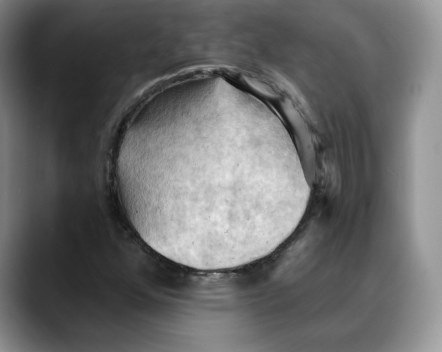 X0000088491352200706121541