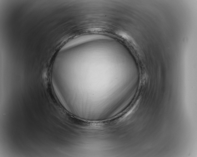 X0000088491353200706121541