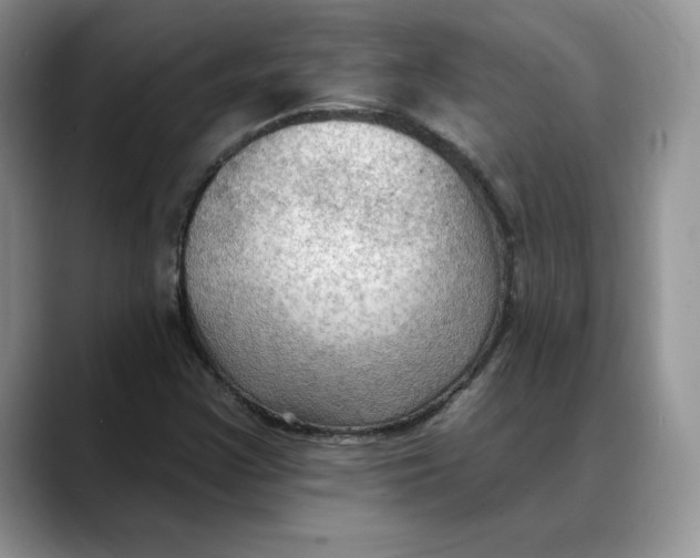 X0000088491355200706121541