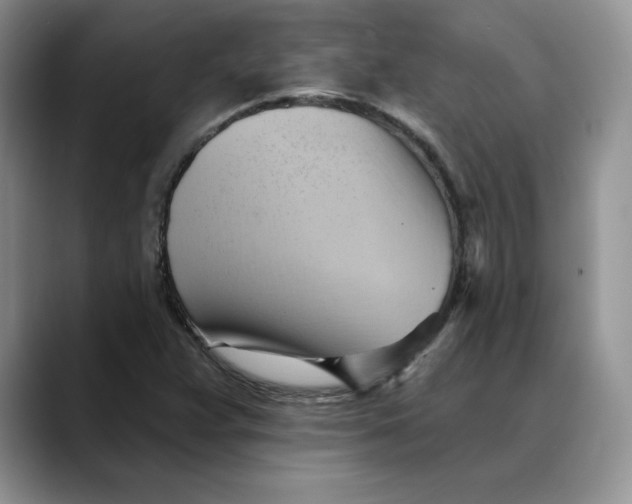 X0000088491359200706121541