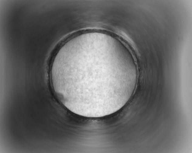 X0000088491360200706121541