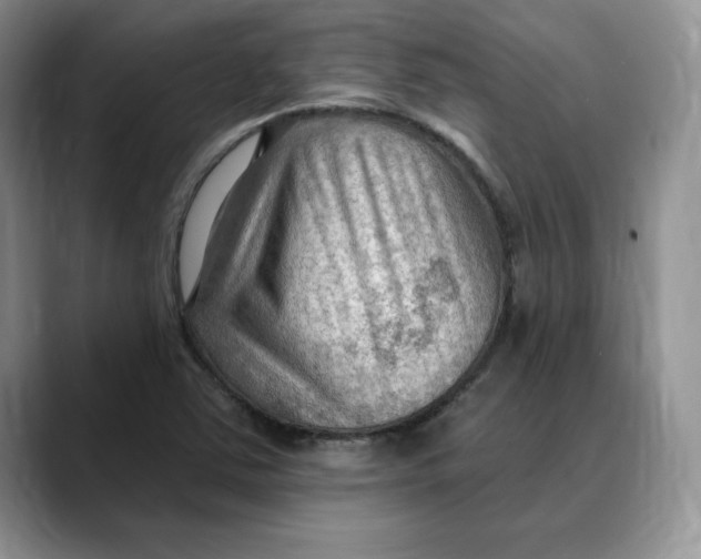 X0000088491363200706121541
