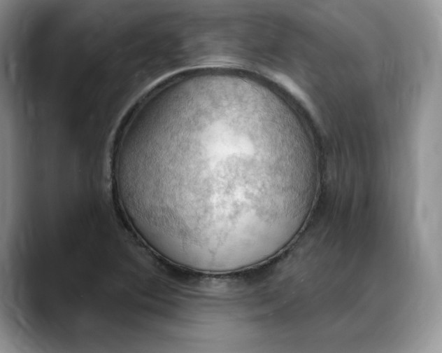 X0000088491364200706121541