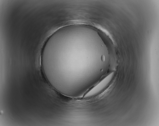 X0000088491365200706121541