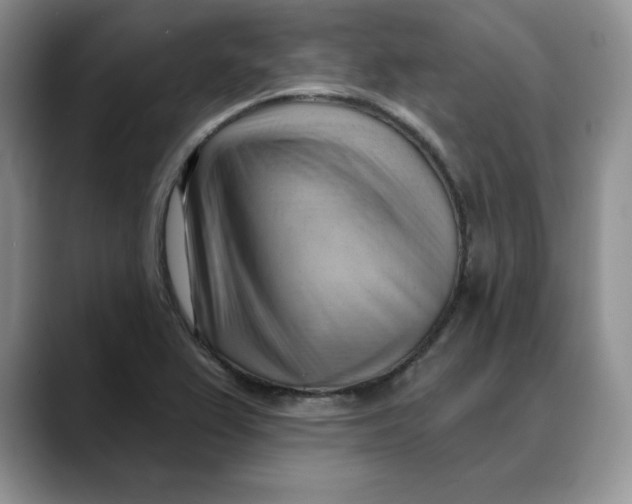 X0000088491367200706121541