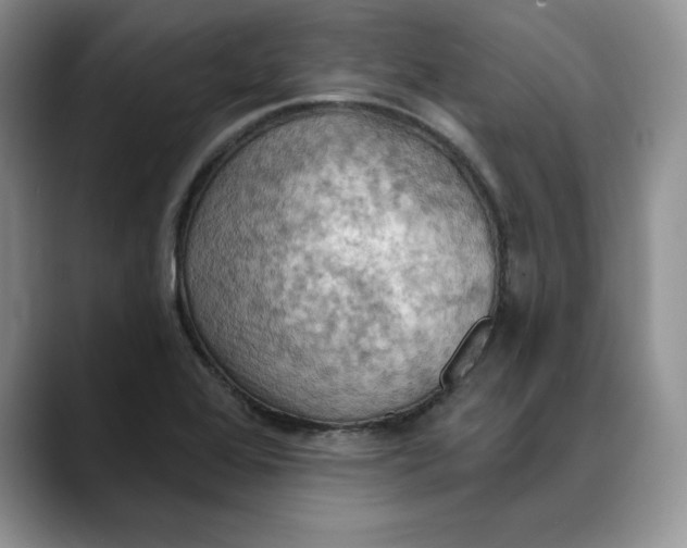 X0000088491368200706121541