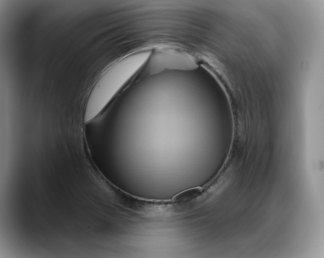 X0000088491369200706121541