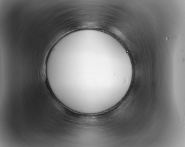 X0000088491370200706121541