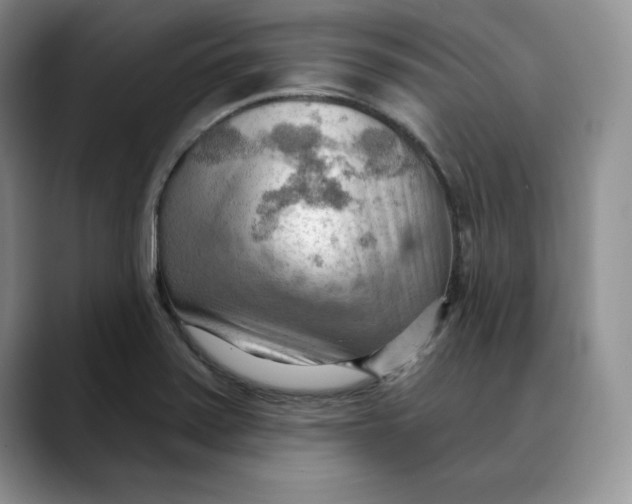 X0000088491371200706121541