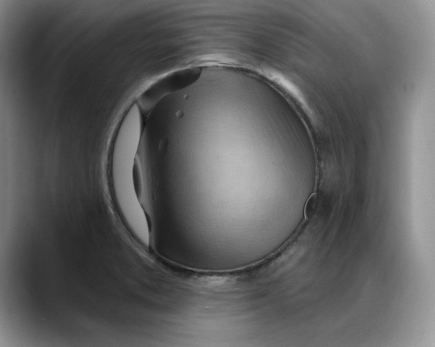 X0000088491373200706121541