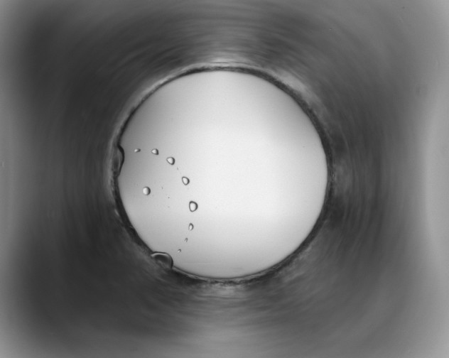 X0000088491374200706121541