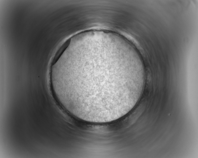 X0000088491375200706121541