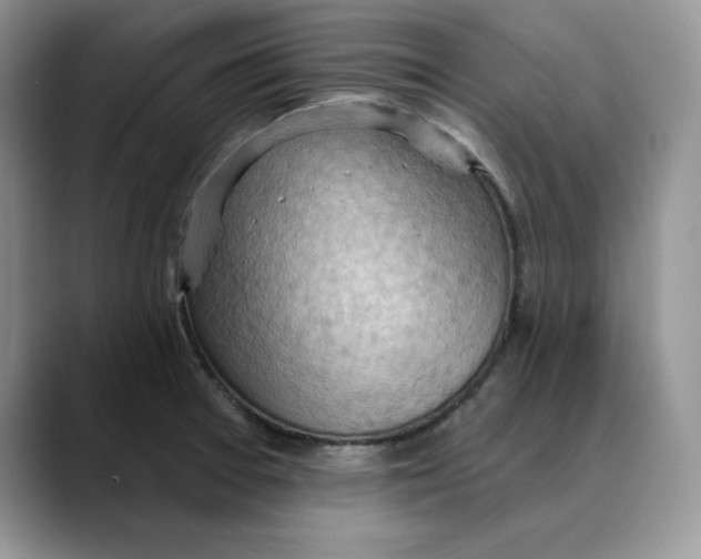 X0000088491377200706121541